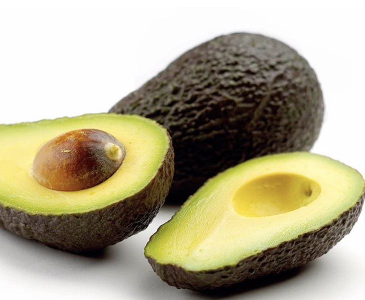 Planta o árbol de Aguacate Hass Clonal Dussa (Persea Americana) / Planta de 2 años