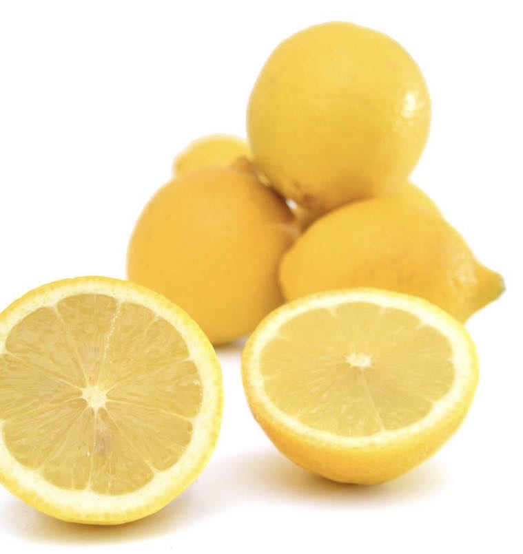 Limon Eureka/ Planta de 2 años